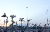 Quảng Ngãi chỉ đạo triển khai 4 dự án BĐS lớn 