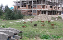 Thu hồi hai dự án chung cư công nhân tại Đà Nẵng 