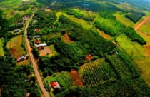 Bình Phước đẩy nhanh đề án khu liên hợp 10.000 ha Đồng Phú 