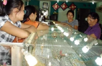 Giá vàng quay lại mốc 37 triệu đồng 