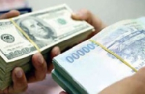 Kiến nghị 5 nhóm giải pháp chống Đô la hóa 