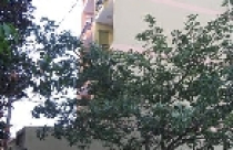 Những điều cần biết khi mua căn hộ đơn lẻ mới 