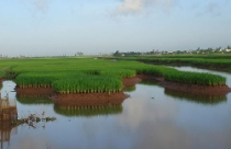 Sẽ đưa giá đất đền bù sát với giá thị trường 