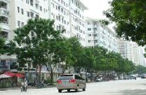 TP.Hồ Chí Minh: “Treo” chủ quyền người mua nhà tới bao giờ? 