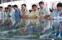 Kênh huy động vốn mới cho bất động sản 