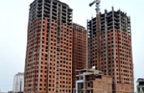 Các địa phương triển khai thực hiện Nghị quyết 11 của Chính phủ 