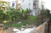 Đất vàng… bỏ hoang 