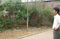 Phập phồng giá đất Sóc Sơn