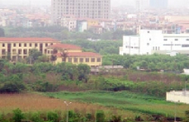 Bắt đầu thí điểm thu thuế đất phi nông nghiệp