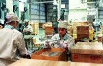 Hà Nội: Thiếu đất “sạch” để thu hút đầu tư 