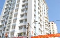 Mới hóa chung cư để tạo cảnh quan 