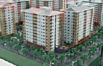 Nhà thu nhập thấp cũng loạn giá