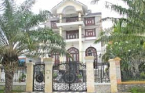 "Đất vàng" cồn Khương