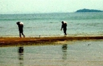 Kiên Giang thu hồi 5 dự án xây dựng khu du lịch