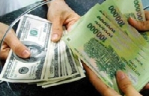 Cung USD tăng, vốn huy động VND vẫn hạn chế 