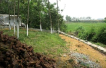 Đất ngoại thành tăng giá chóng mặt chỉ là tin đồn? 