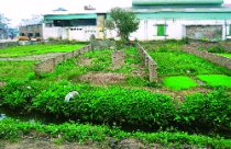 Đề nghị công nhận đất liền kề nhà ở đã bán theo NĐ 61/CP 