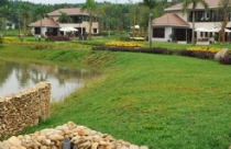 Phát sốt với “mốt” đại gia lùng đất 