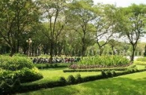 Vẫn chưa có tiêu chuẩn xây dựng bãi xe ngầm 