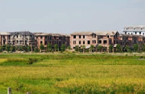 Đất giá rẻ: Có nên? 