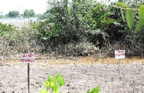 Dính bẫy ‘cò’ nhà đất 