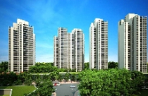 Vihajico: Tiếp tục mở bán căn hộ chung cư Rừng Cọ với giá 18,5 triệu đồng/m2 