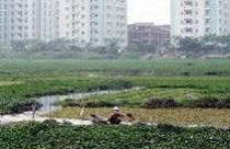 Bồi thường, hỗ trợ, tái định cư: Không để nông dân quá thiệt thòi