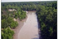 Đốn hạ Vườn quốc gia U Minh Hạ?