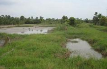 Làm rõ việc chuyển nhượng và chuyển mục đích sử dụng đất chồng chéo ở quận Cái Răng (Cần Thơ) 