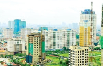 Phân hóa mạnh