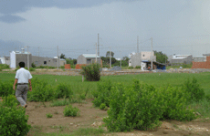 TP. Vũng Tàu: Không có mặt bằng, hàng loạt dự án rơi vào bế tắc 