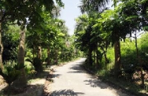 Vườn thực vật có nguy cơ bị “xẻ thịt”