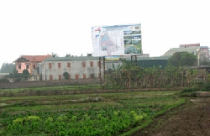 250.000 ha đất đang bị bỏ hoang 