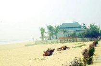 Miền Trung: Xây resort tàn phá rừng phòng hộ 