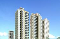 Nhiều sàn giao dịch bất động sản hoạt động thiếu minh bạch 