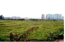 Thứ trưởng Bộ XD nói về “dự án cỏ mọc” 