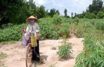 Bố trí tái định cư làm dự án kcn tại xã hố nai, huyện Trảng Bom, tỉnh Đồng Nai: “Treo đầu dê, bán thịt chó” 