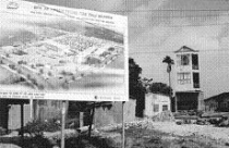 Bờ xôi, ruộng mật... để hoang 