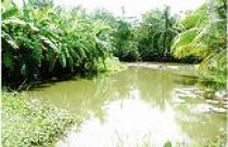 Đất 'quan' đắt hơn đất dân!