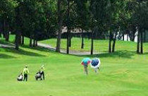 Không nên gắn biệt thự, khu đô thị với sân golf 