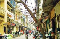 Giãn dân phố cổ Hà Nội: Không khéo chưa giảm đã lo tăng 