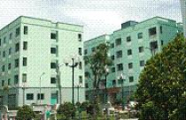 Nghịch lý nhà ở 