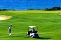 “Sát thủ” của đất nông nghiệp 