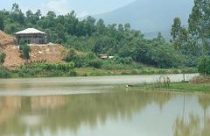 Ba Vì sau Quy hoạch Thủ đô-Bài 3: Lấp hồ, xẻ núi “trồng”… biệt thự 