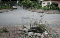 Nhếch nhác tái định cư 