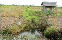 Vụ đất trồng bị quy hoạch thành sân golf - Thiệt đơn thiệt kép 