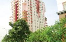 Vướng mắc thực thi Nghị định 69: Bán hàng khi chưa tính được giá thành 