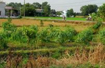 Đà Nẵng: Miễn, giảm, cho nợ tiền sử dụng đất 