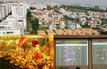 Găm tiền vào chứng khoán, vàng hay bất động sản? 