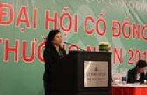 Quốc Cường Gia Lai: Công ty mẹ lỗ 30,8 tỷ đồng trong quý II